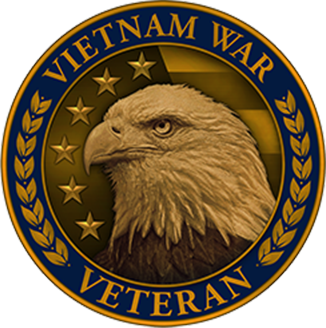 Vietnam War Veteran Lapel Pin